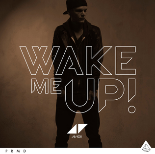 《Wake Me Up - Avicii》Lyrics